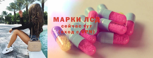 трава Корсаков