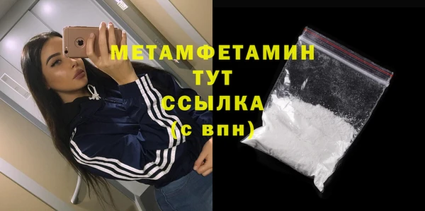 трава Корсаков
