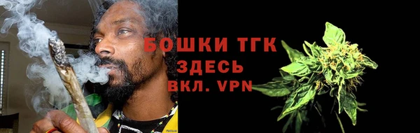 трава Корсаков