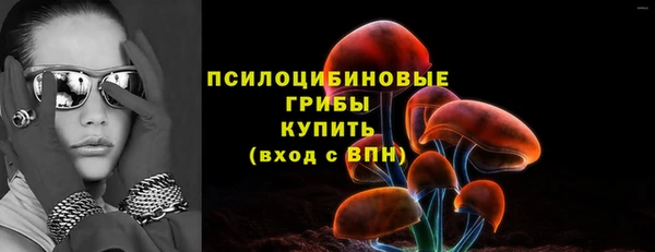 трава Корсаков