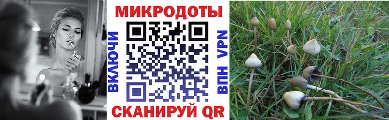 Галлюциногенные грибы GOLDEN TEACHER KRAKEN рабочий сайт Михайловка